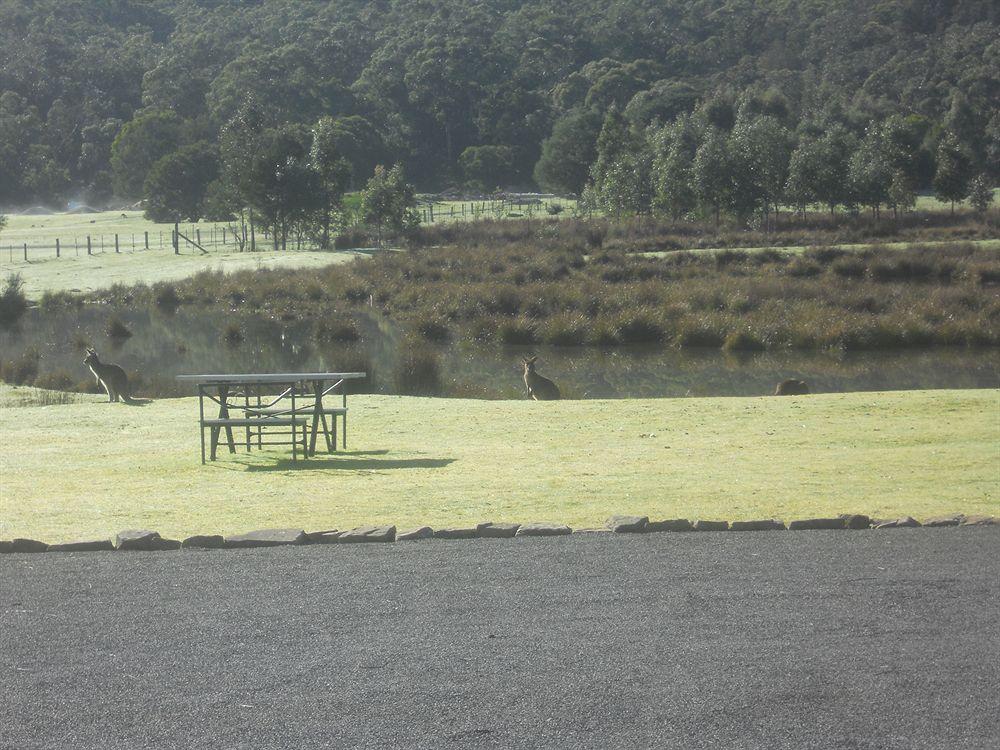 Halls Gap Motel Exterior foto