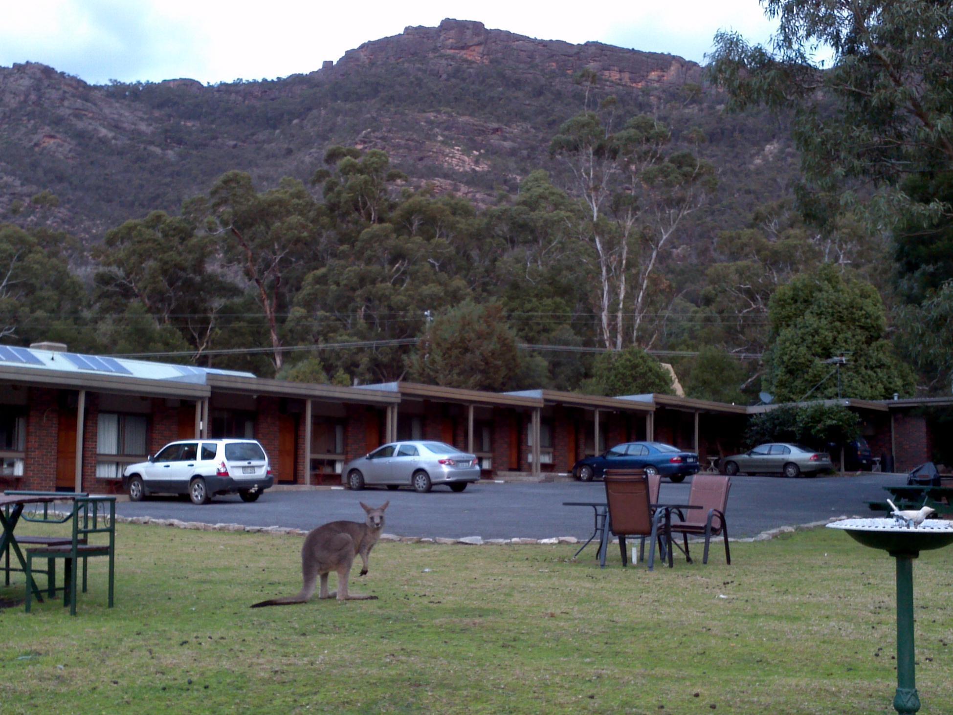 Halls Gap Motel Exterior foto